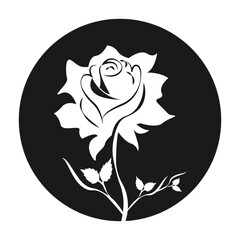 Fototapeta premium the beautiful rose vector illustration