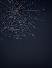 Halloween background with spider web with dew drops