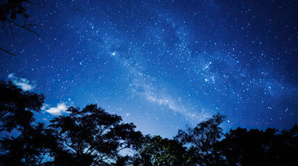 Fototapeta na wymiar Starry night sky with the Milky Way stretching across