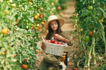 Positive little girl is in the garden with tomatoes
