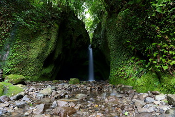 美しい森の中を静かに流れる長野滝