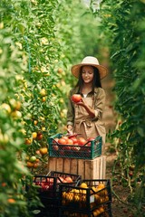 Obraz premium Front view, standing. Little girl is in the garden with tomatoes