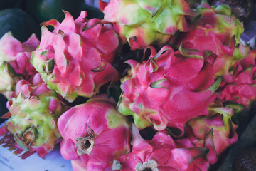 Dragon fruit