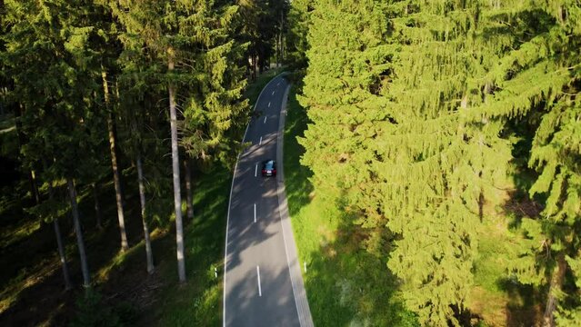 Drone follows a sports car driving in a green forest on a sunny summer day