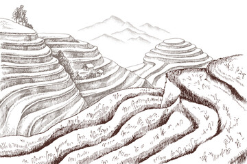 Terraced rice fields hand drawn illustration - 641299105