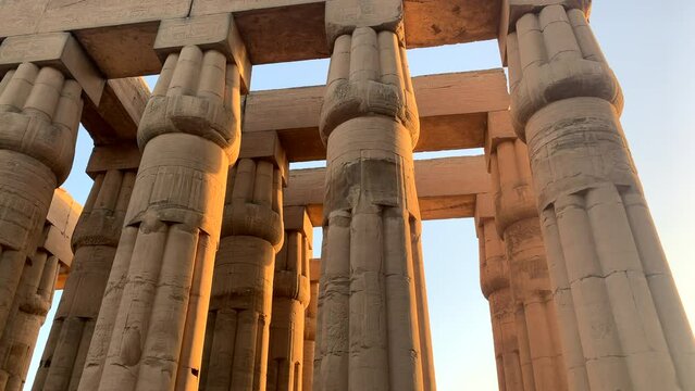 Luxor temple, Egypt. Slow pan showing tops of rows of massive columns basked in golden hour lighting.