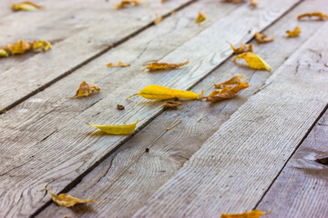 Yellow dried fallen leaves lie on an old wooden floor surface, planks, boards, bridge, rustic table, bench, walkway from above. Late autumn, cold fall season. Nature concept flatly. Change of seasons.