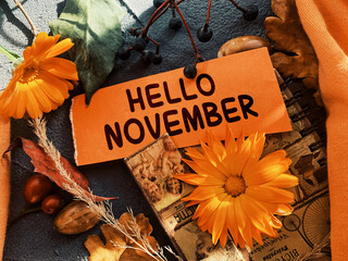 Hello November card with natural fall elements. Top view, cozy flat lay. Autumn banner. Creative...