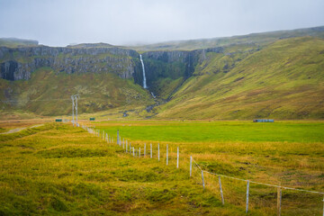 Horses at the meadows of Iceland