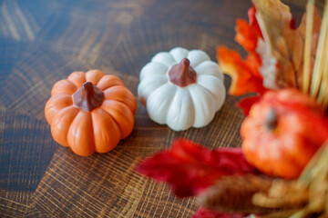 Autumn still life with pumpkin and vegetables