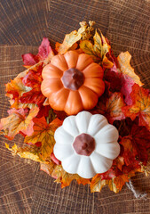 Autumn still life with pumpkin and vegetables