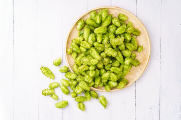 Fresh hops on a monochromatic background