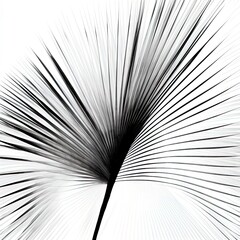 abstraction palm leaves, black and white on white background.