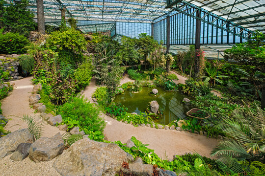 Interior view of the cold house Estufa Fria is a greenhouse with gardens, ponds, exotic plants and trees in Lisbon, Portugal