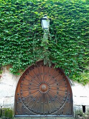 door in the garden