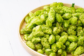 Fresh hops on a monochromatic background