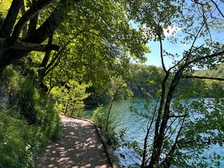 Wooden paths and walkways along the lakes and through the forest in the Plitvice Lakes National Park - Plitvica, Croatia (Drvene staze i šetnice u Nacionalnom parku Plitvička jezera - Hrvatska)