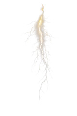 lightning rays on white