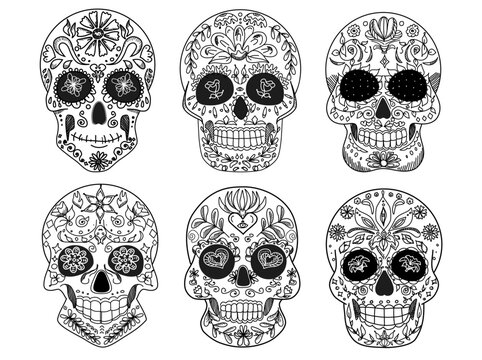  vector set of  sugar skulls