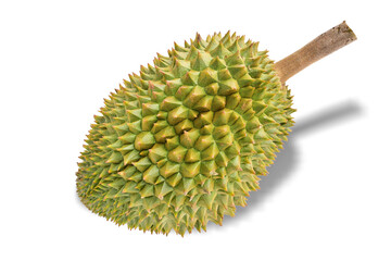 durian king of fruits isolated on white background. This has clipping path.   