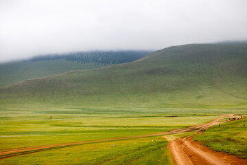 Fototapeta premium Multi-lane dirt road in the Orkhon valley in Mongolia