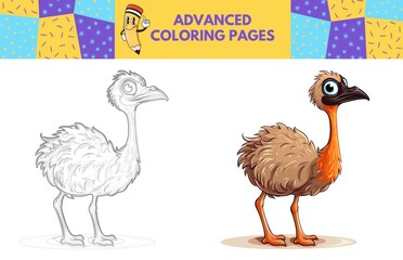 Ostrich coloring page with colored example for kids. Coloring book