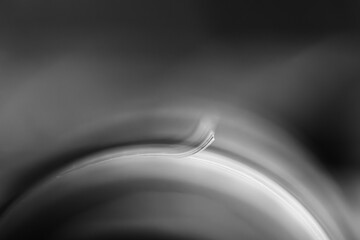 A black and white close up of a role of washi tape with a pattern texture on it. The end of the piece of tape is curled upward to easily start using it for decorating a gift, wall, gift or post card.