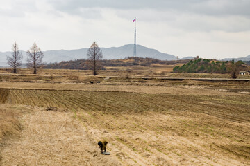 KIJONG VILLAGE, NORTH KOREA: farmer and giant pole with North Korean flag in countryside, near Panmunjom and DMZ, Democratic Peoples's Republic of Korea (DPRK)
