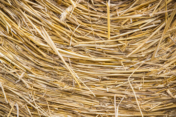 Bales of hay or straw. Background or wallpaper texture © ratmaner