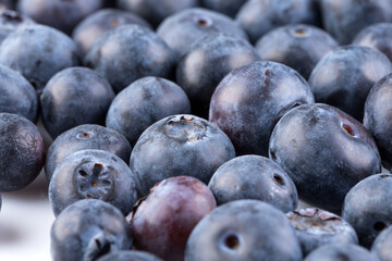 Blueberries on white background