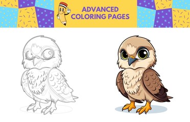 Obraz premium Falcon coloring page with colored example for kids. Coloring book
