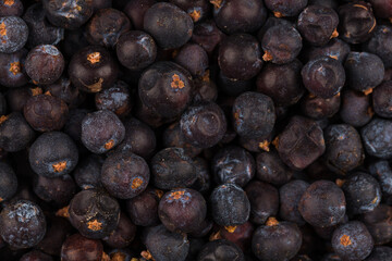 Dried black currant