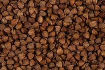 Buckwheat texture
