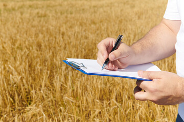 Farmer barley crop field plantation inspecting harvest and making notes.