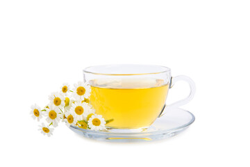 Herbal tea with fresh chamomile flowers isolated on white background. Calming and relaxing drink. Immunity.Cup of hot chamomile tea. Tea drinking concept. Tea ceremony.