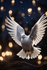 dove of peace