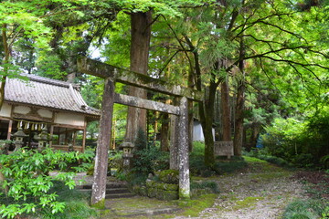 神社