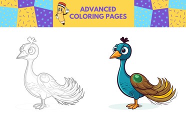 Peacock coloring page with colored example for kids. Coloring book