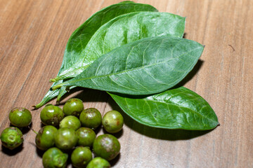 Henna ( Lawsonia inermis) leaves, fruit on wooden background, hair dye medicinal herbs