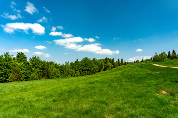 Tourist path leading through the forest.