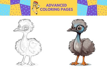 Fototapeta premium Emu coloring page with colored example for kids. Coloring book