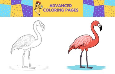 Flamingo coloring page with colored example for kids. Coloring book