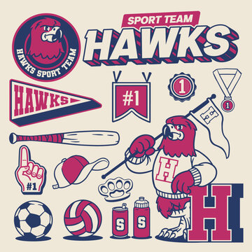 Sport Object Collection of Hawk Mascot Vintage Style