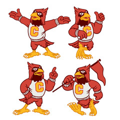 Vector Set of Cardinal Sport Mascot in Vintage Retro Hand Drawn Style