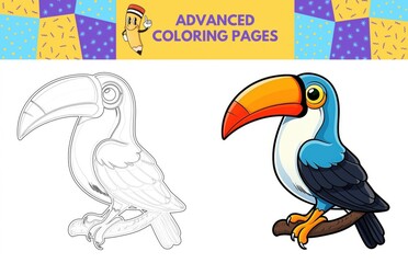 Obraz premium Toucan coloring page with colored example for kids. Coloring book