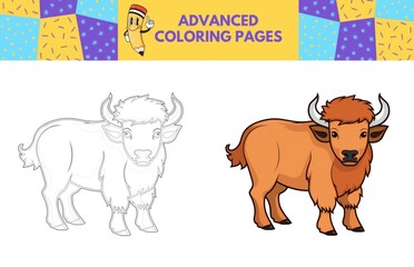 Bison coloring page with colored example for kids. Coloring book