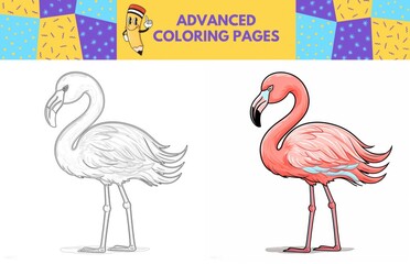 Flamingo coloring page with colored example for kids. Coloring book