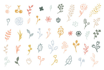 Vector illustration set with flowers leaves and branches. Perfect for card, postcard, tags, invitation, printing, wrapping.