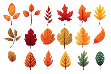 set of autumn leaves isolated on white illustration