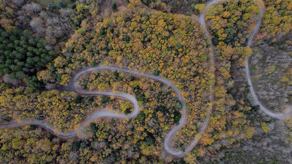 A small dirt road winds through a forest, amidst the incredible colours of the autumn foliage in the Viterbo countryside.Aerial view made with a drone.